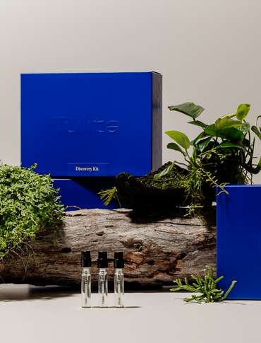 Original Trio Discovery Kit