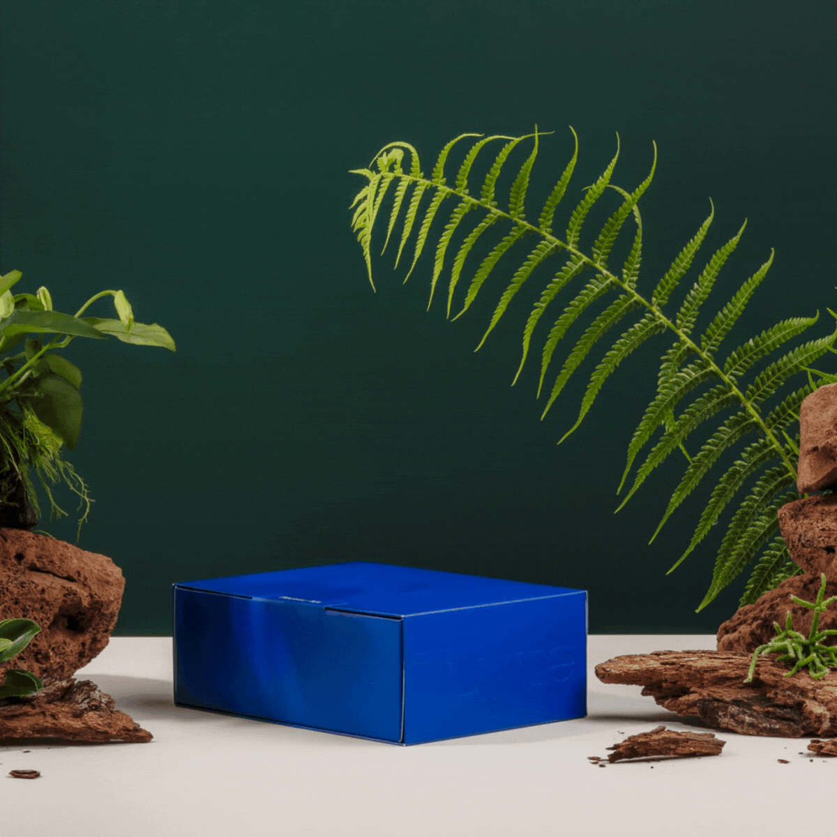 Original Trio Discovery Kit